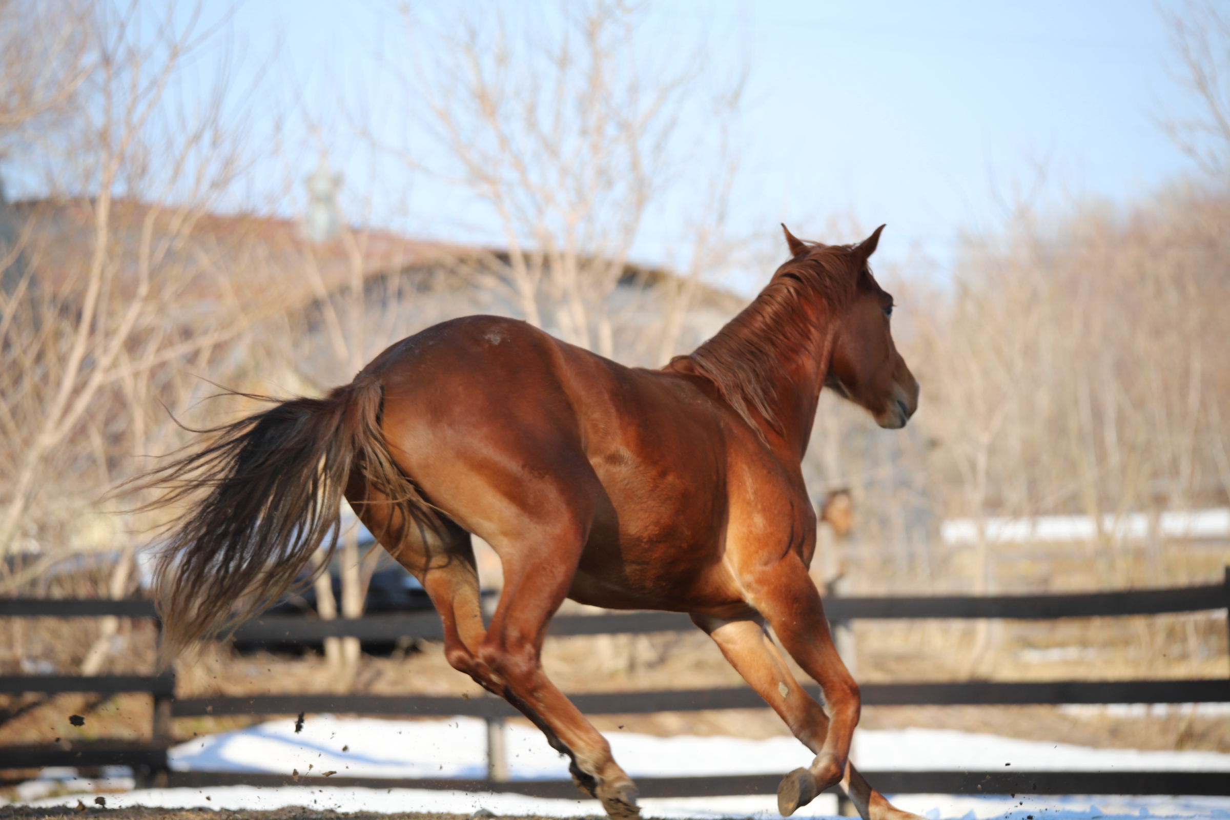 cadence2