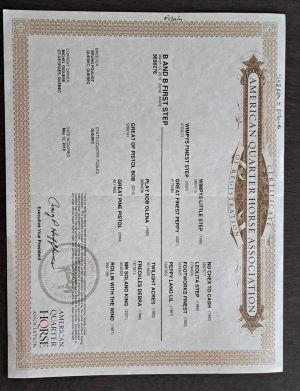 pechemere